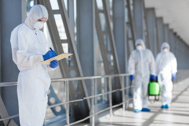 Best Mold Documentation for Insurance Claims  in New Franklin, OH