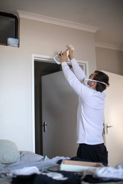 Best Comprehensive Air Testing for Mold Contaminants  in New Franklin, OH
