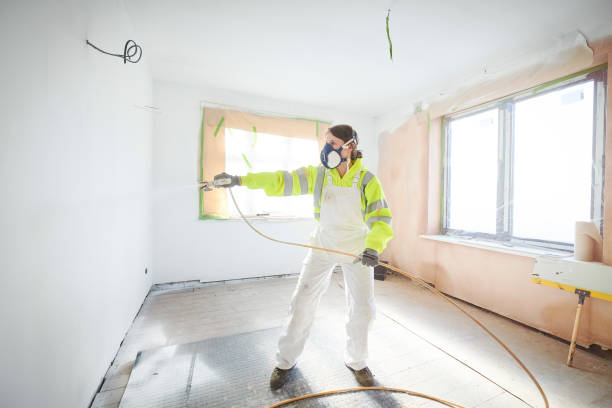 Professional Mold Removal in New Franklin, OH