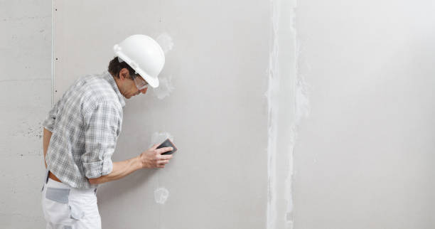 Best Biohazard Mold Removal  in New Franklin, OH