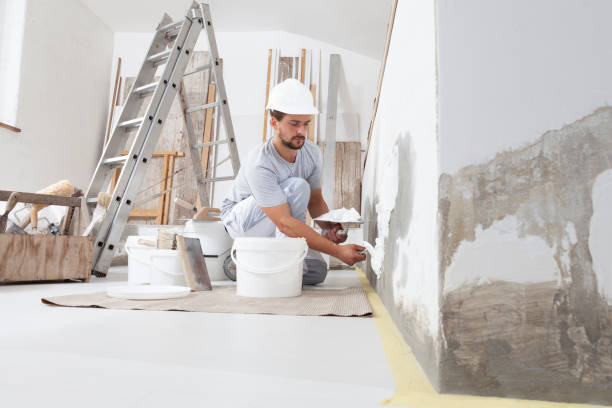 Best Post-Construction Mold Inspection  in New Franklin, OH