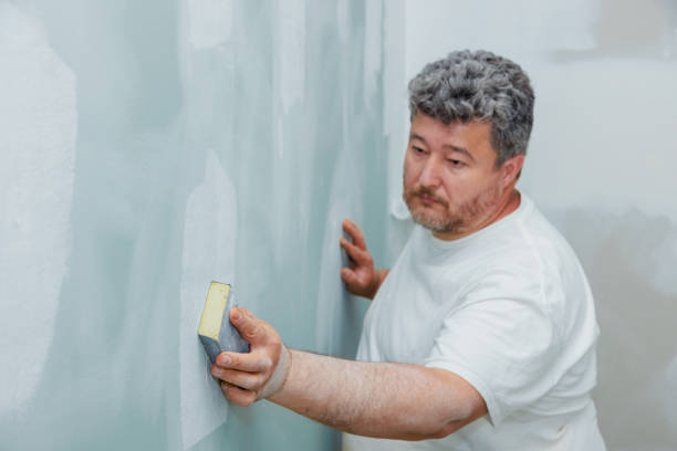Best Mold Removal for HVAC Installations  in New Franklin, OH